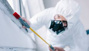 Best Pest Exclusion Services  in Gunnison, CO